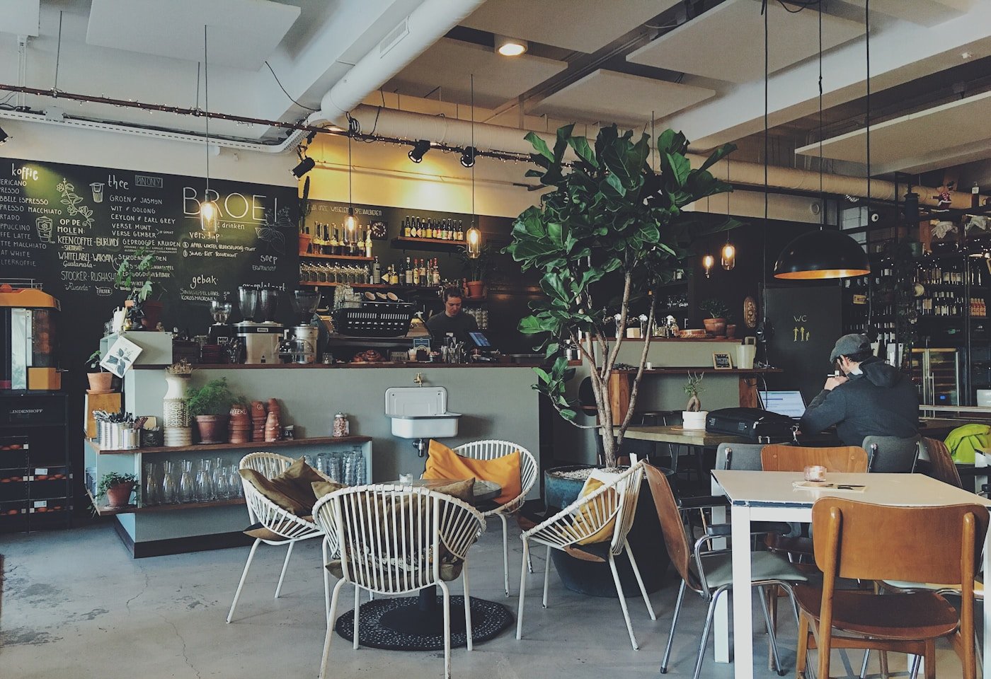 A welcoming café interior with warm lighting and greenery