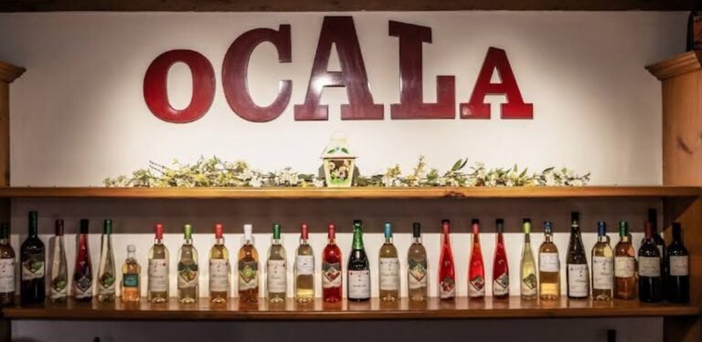 Screenshot 2026 01 28 171600 768x375