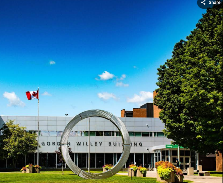 Screenshot 2026 01 28 192933 768x630