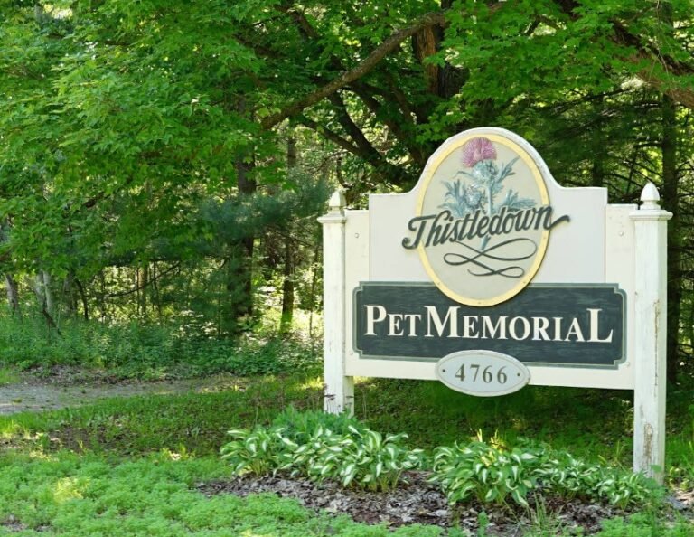 Screenshot 2026 01 28 202739 768x594