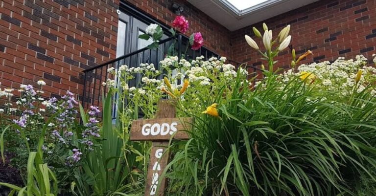 Screenshot 2026 01 28 204306 768x401