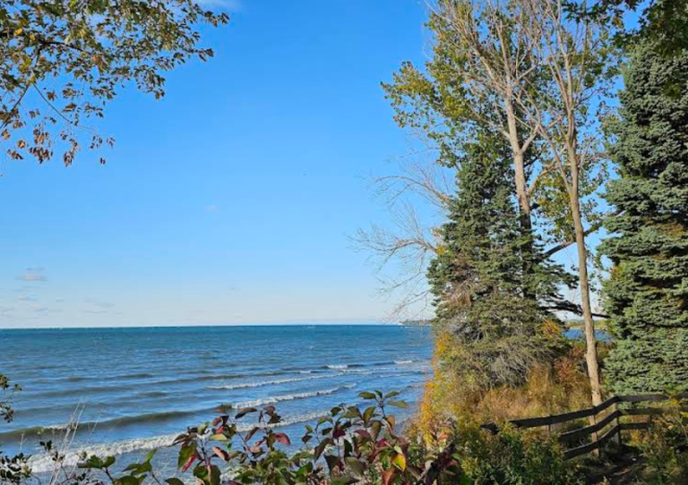 Screenshot 2026 01 28 211649 768x542