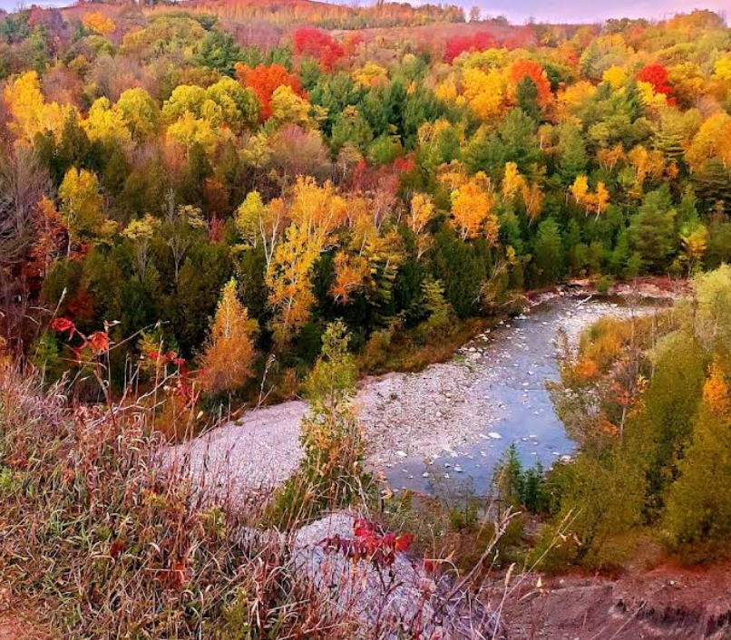 Rouge National Urban Park Featured image