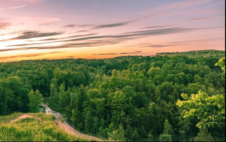 Screenshot 2026 01 28 212757 768x485