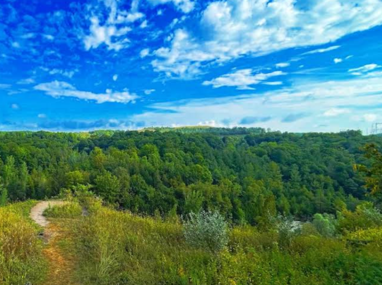 Screenshot 2026 01 28 212956 768x573