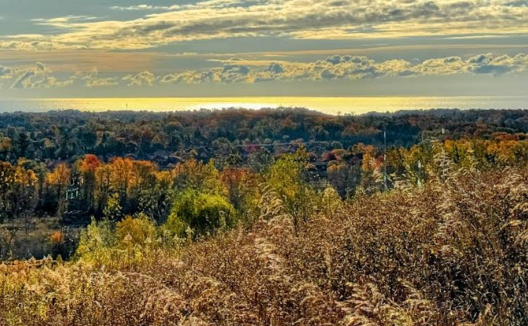 Screenshot 2026 01 28 213003 768x474