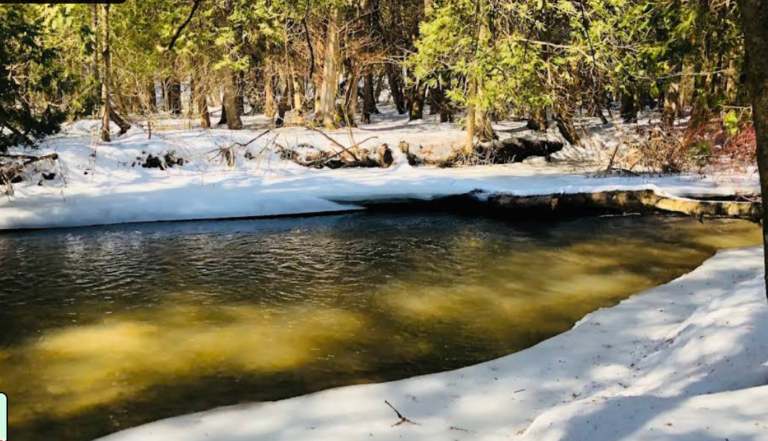 Screenshot 2026 01 28 214007 768x441