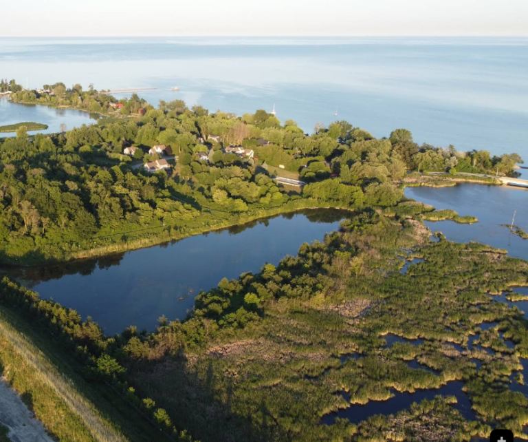 Screenshot 2026 01 28 215054 768x642