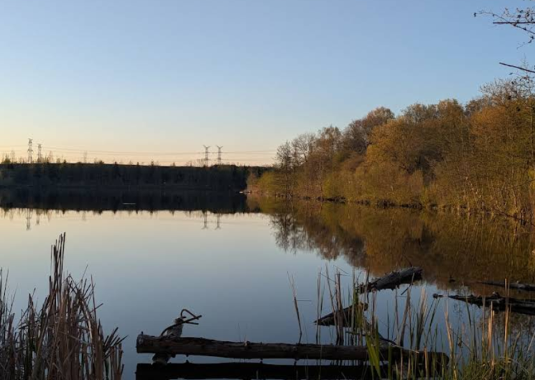 Screenshot 2026 01 28 215108 768x546