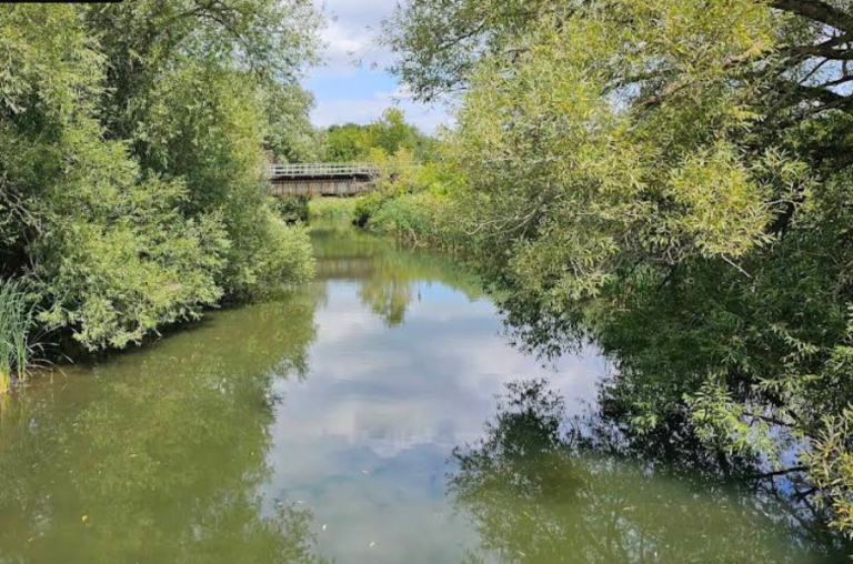 Screenshot 2026 01 28 215120 768x508