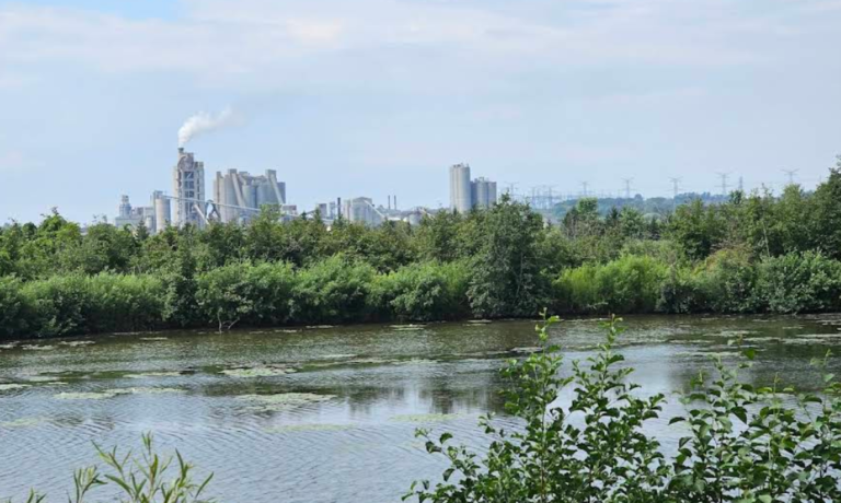 Screenshot 2026 01 28 215136 768x460