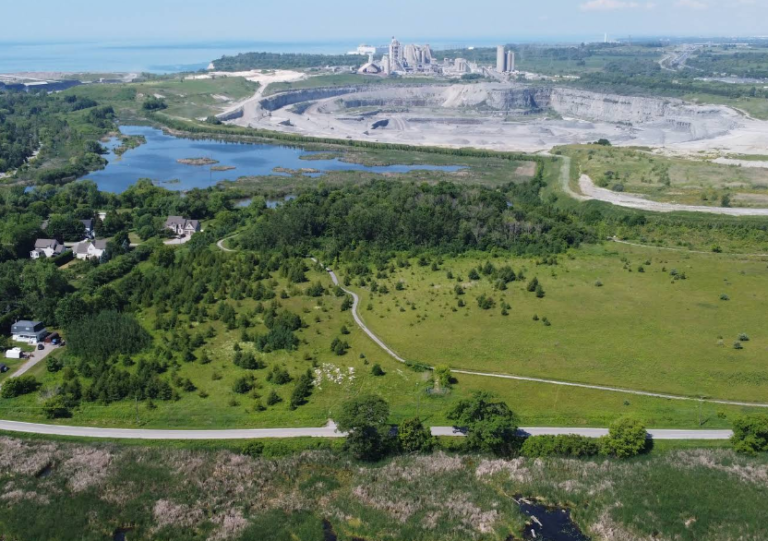 Screenshot 2026 01 28 215154 768x541