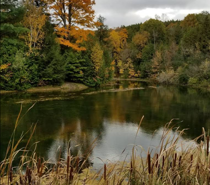 Enniskillen Conservation Area Featured image
