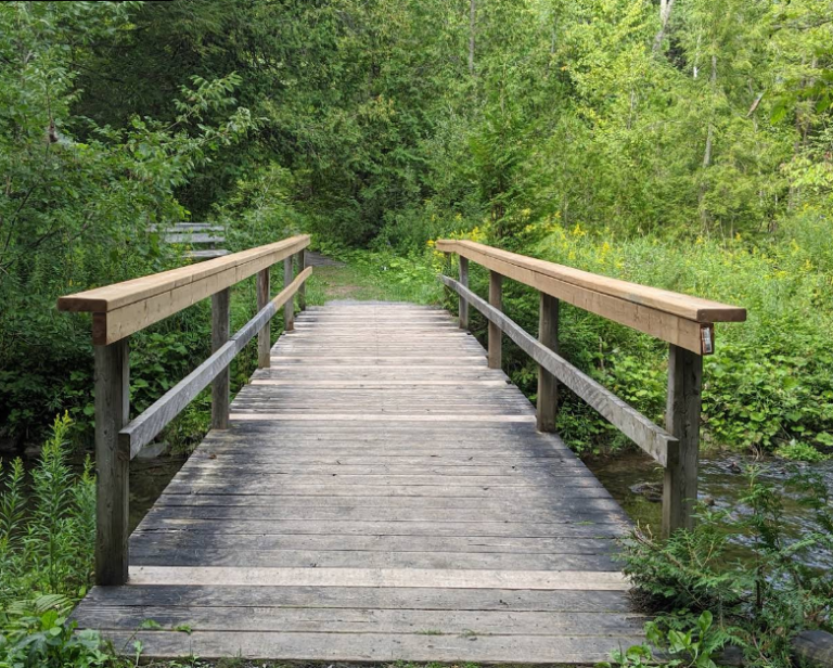 Screenshot 2026 01 28 220545 768x616