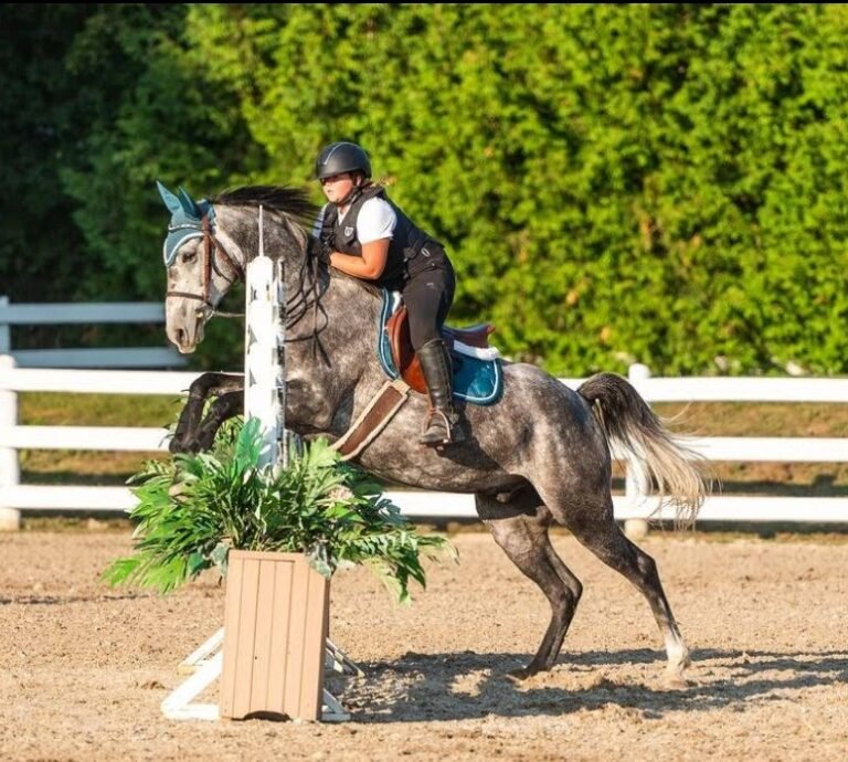 Screenshot 2026 01 28 220609 768x690