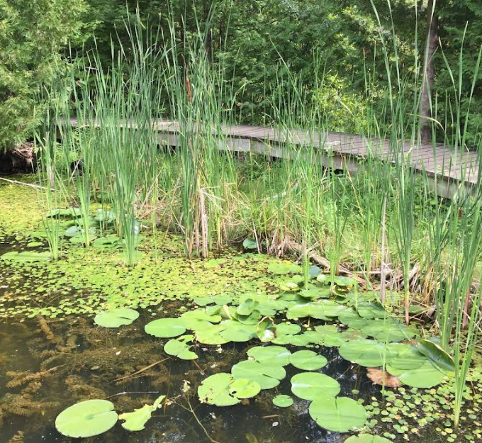 Screenshot 2026 01 28 220624