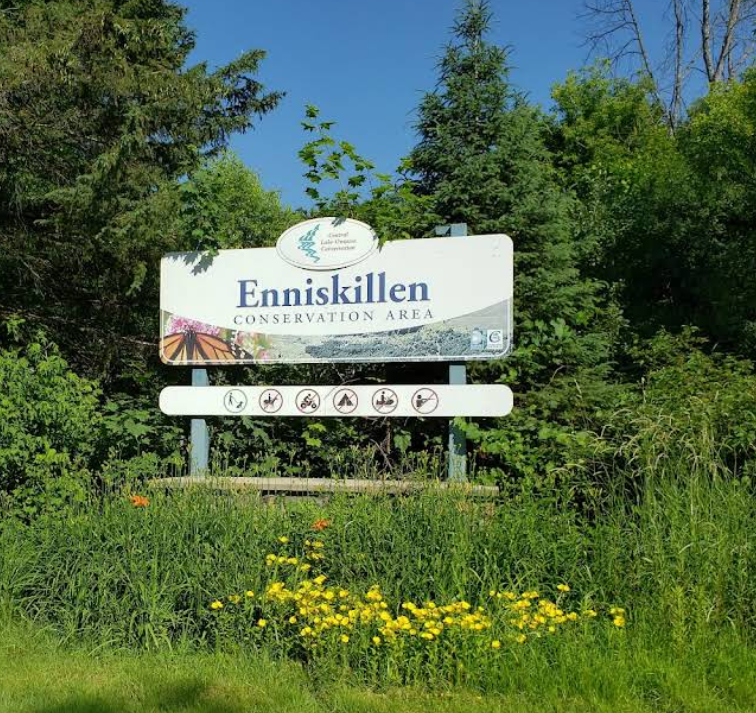 Screenshot 2026 01 28 220633