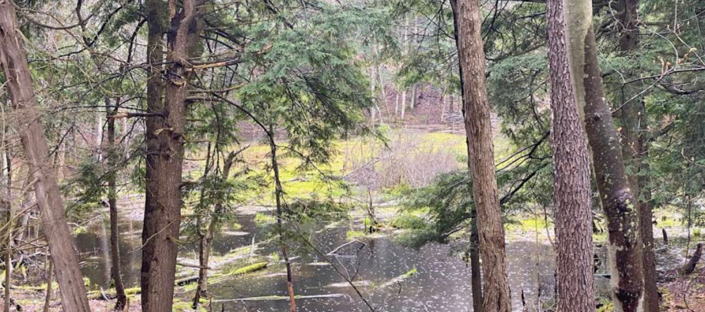 Screenshot 2026 01 28 223845 1024x454