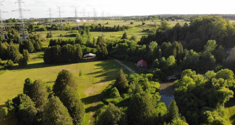 Screenshot 2026 01 28 230220 768x410