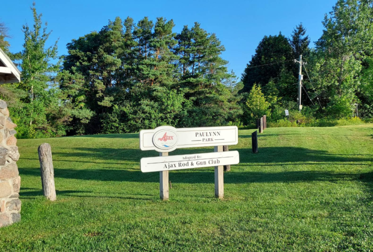 Screenshot 2026 01 28 230228 768x520