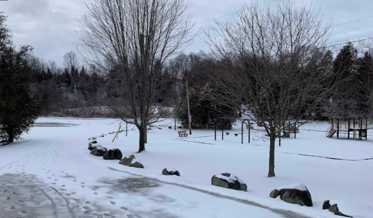 Screenshot 2026 01 28 230239 768x448