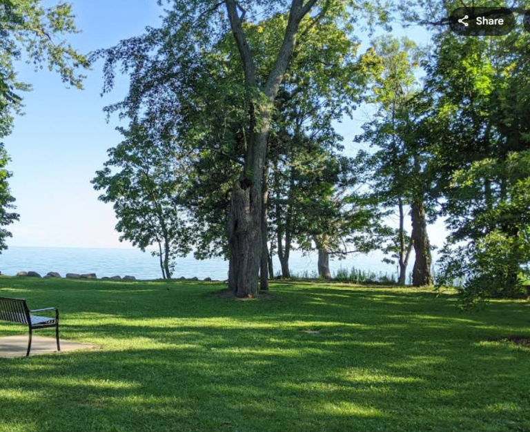 Screenshot 2026 01 28 231002 768x626