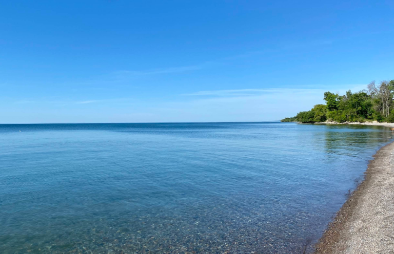 Screenshot 2026 01 28 232303 768x496