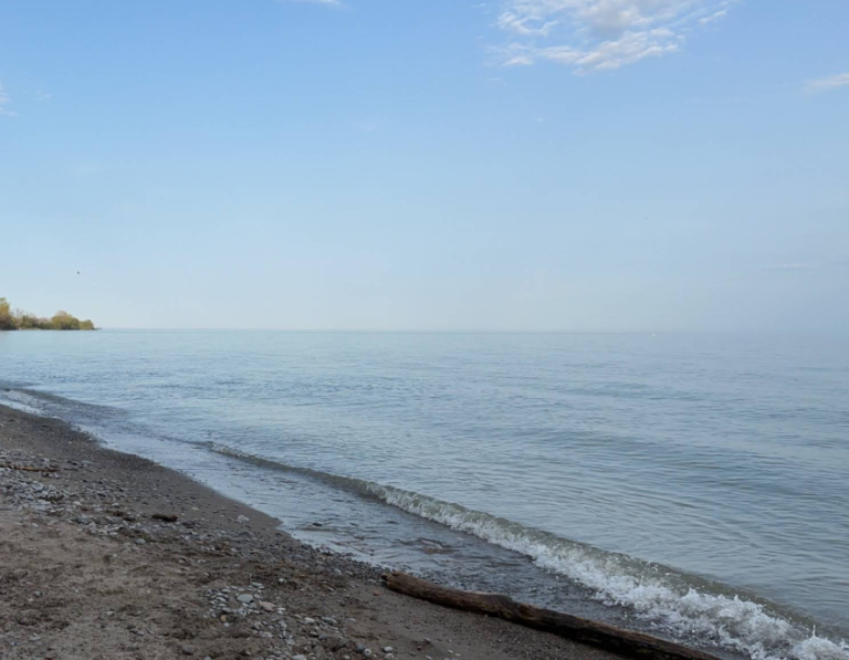 Screenshot 2026 01 28 232312 768x597