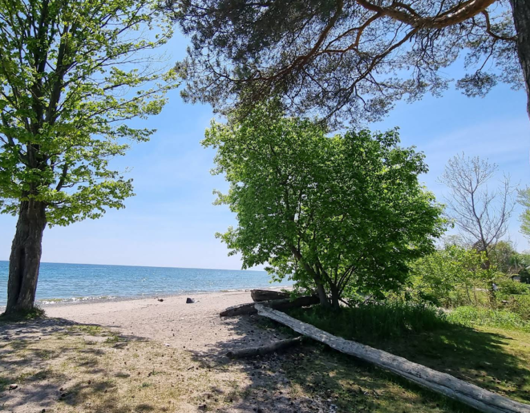 Screenshot 2026 01 28 232324 768x599