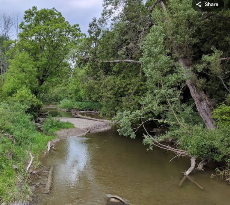 Screenshot 2026 01 29 000747 768x685