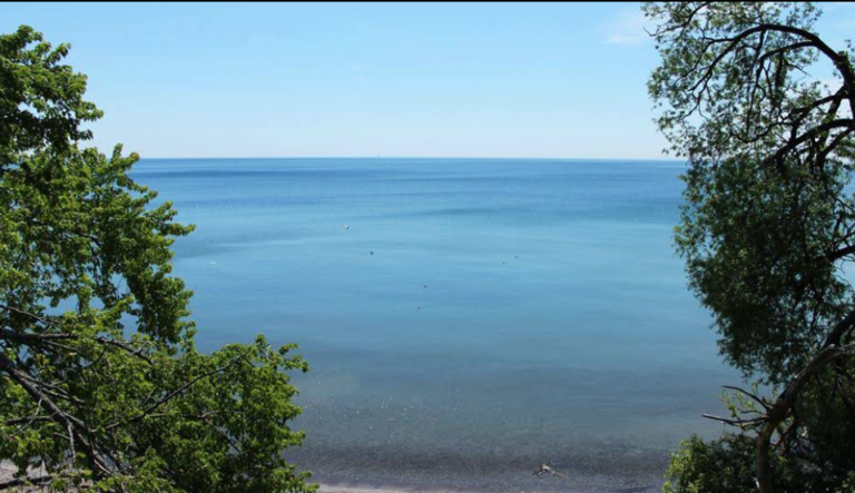 Screenshot 2026 01 29 001829 768x443