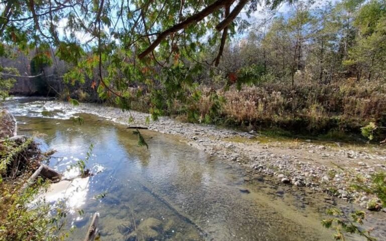 Screenshot 2026 01 29 204325 768x480