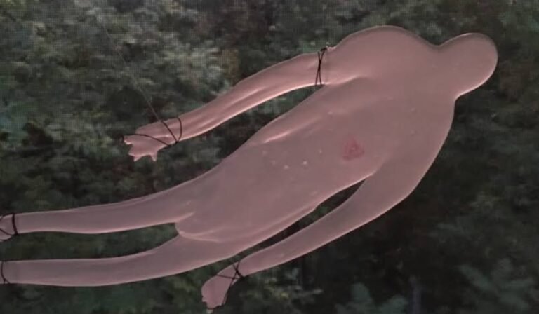 Screenshot 2026 01 29 214711 768x448