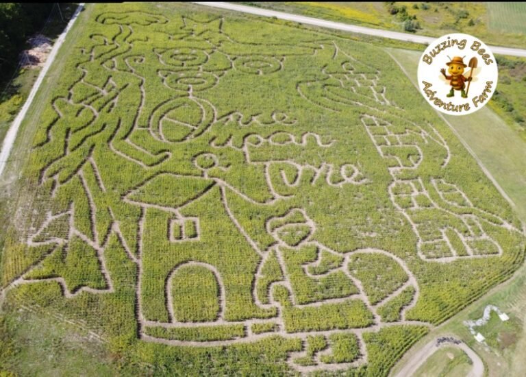 Screenshot 2026 01 29 221305 768x550