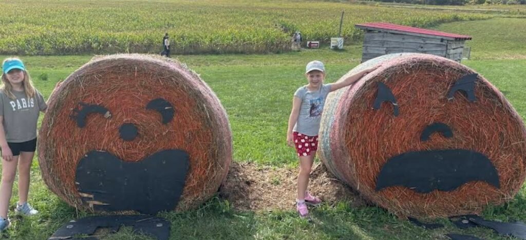 Screenshot 2026 01 29 221401 1024x468