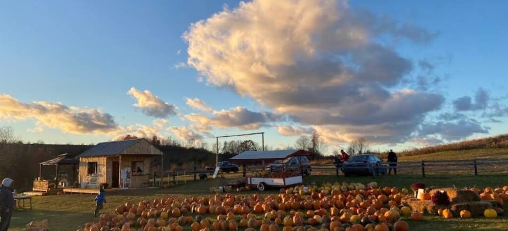 Screenshot 2026 01 29 221437 1024x466