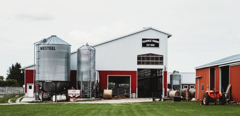 Screenshot 2026 01 29 222135 768x371