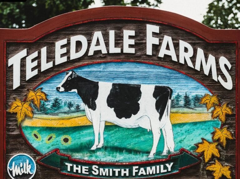 Screenshot 2026 01 29 222239 768x572