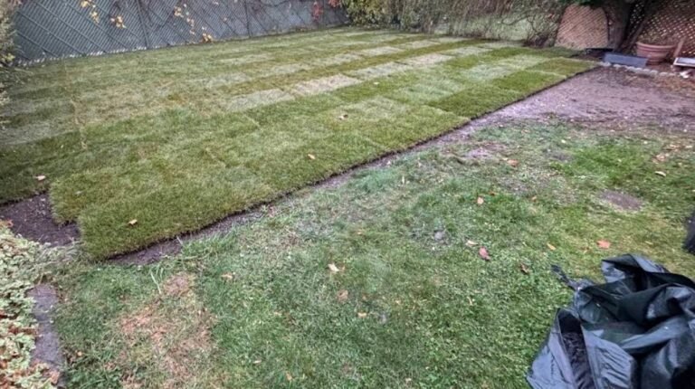 Screenshot 2026 01 29 223356 768x430