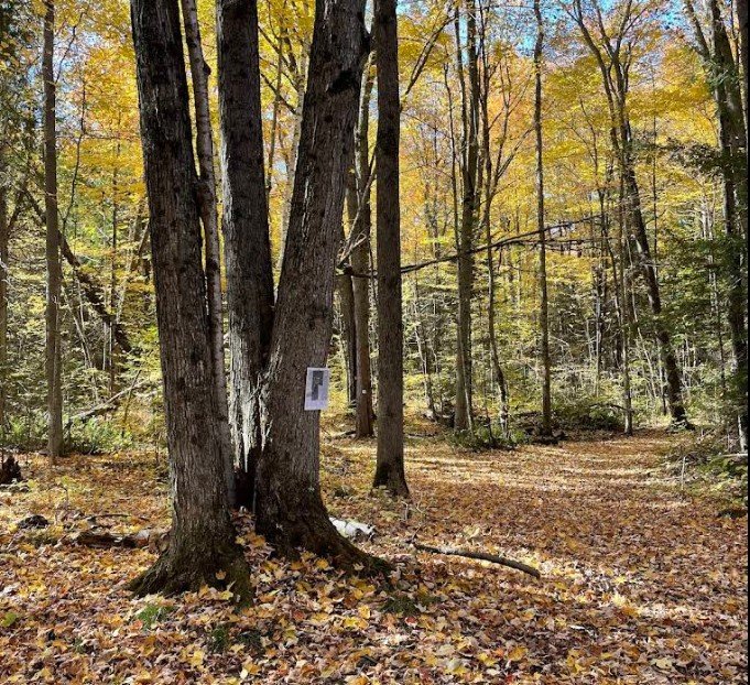 Screenshot 2026 01 29 230330