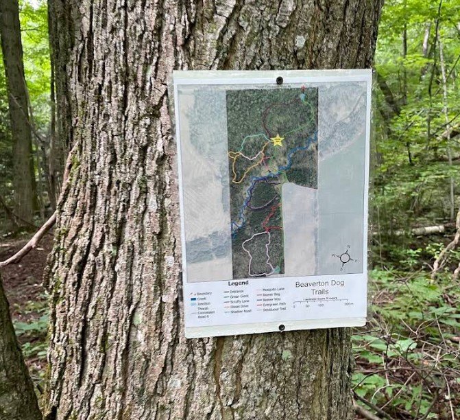 Screenshot 2026 01 29 230356