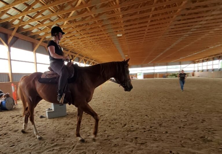 Screenshot 2026 01 30 000033 768x534