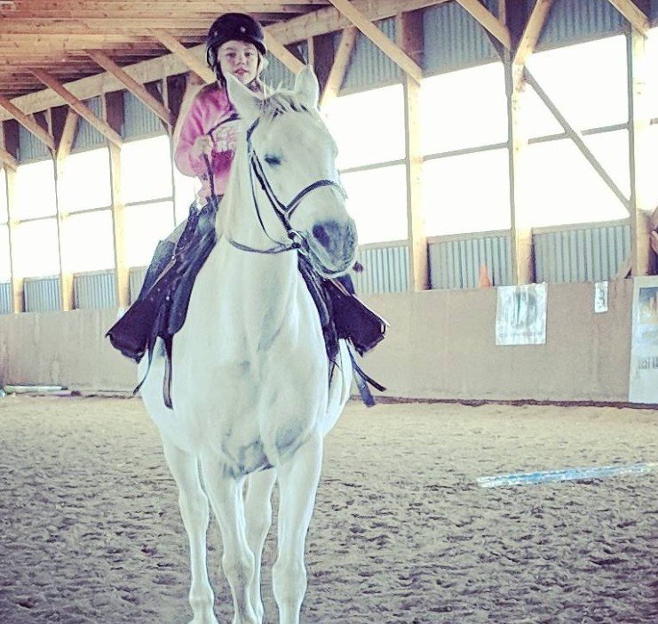 Screenshot 2026 01 30 000229