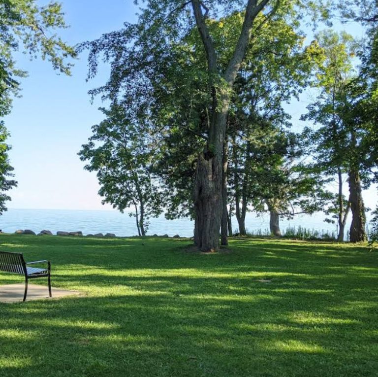 Screenshot 2026 01 30 001320 768x765