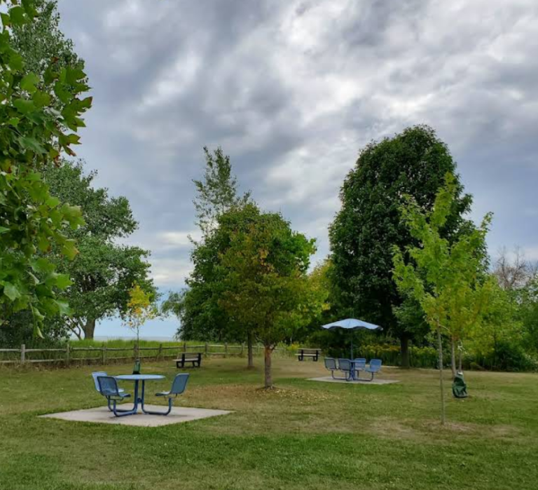 Screenshot 2026 01 30 001348 768x699