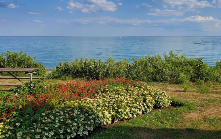 Screenshot 2026 01 30 003056 768x484