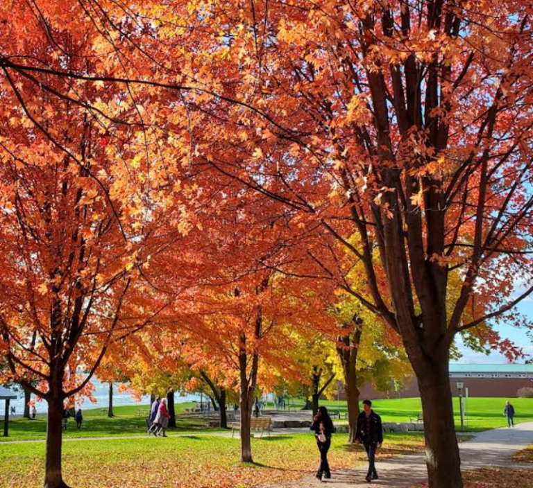 Screenshot 2026 01 30 003107 768x704