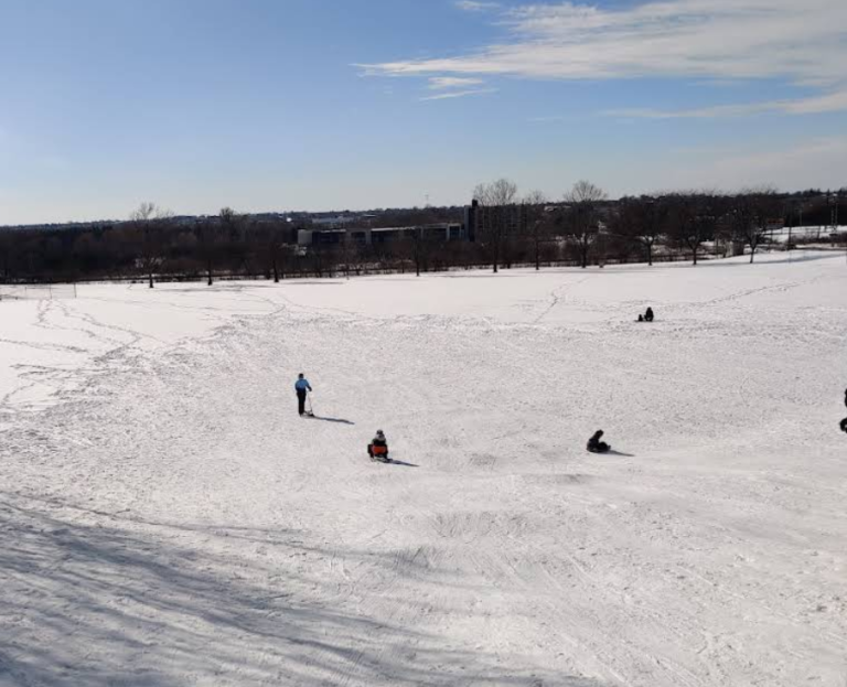 Screenshot 2026 01 30 003523 768x623