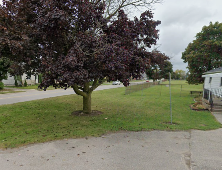 Screenshot 2026 01 30 005646 768x586