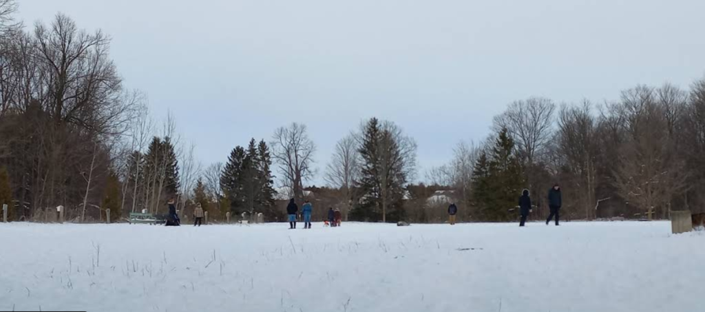 Screenshot 2026 01 30 010108 1024x453